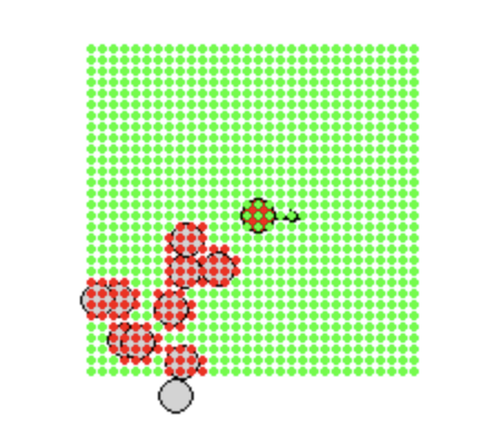 Grid-based observation space approach